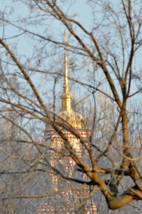 DSC_6952-1